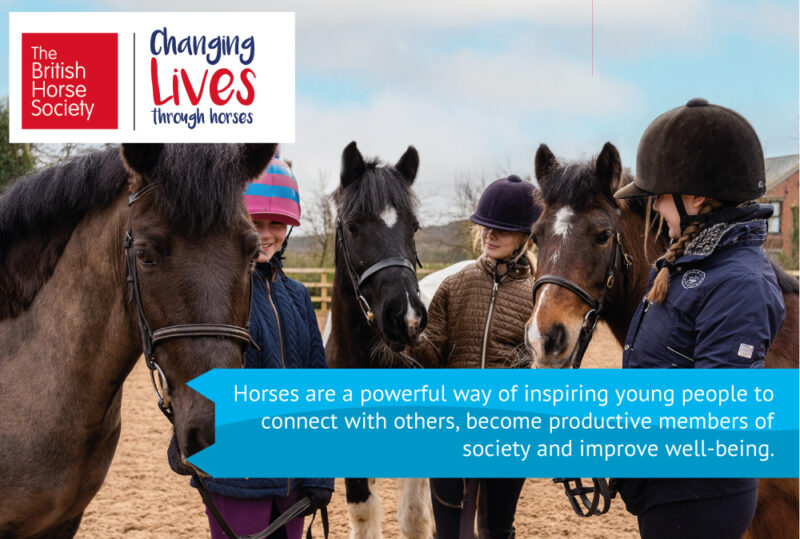 BHS Approved Riding Centre in Norfolk Equine Centre Norfolk